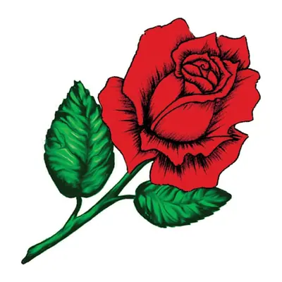 Rosa vermelha