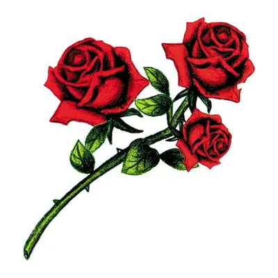 Rosas vermelhas