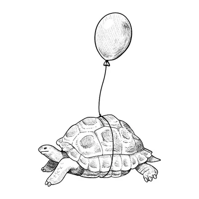 Tartaruga com balão
