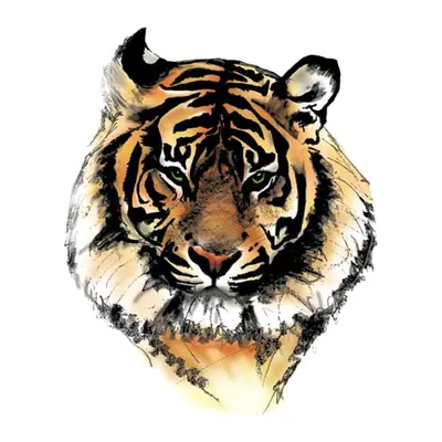 Tigre em aquarela