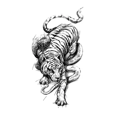 Tigre em ataque