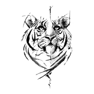 Tigre em traço fino