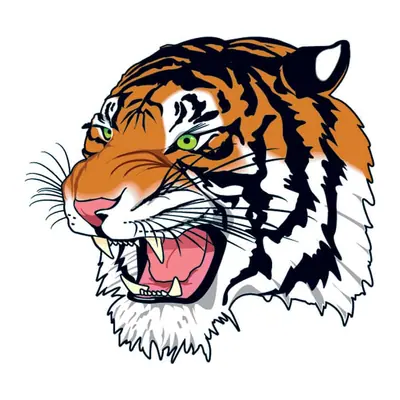 Tigre rugindo — rosto