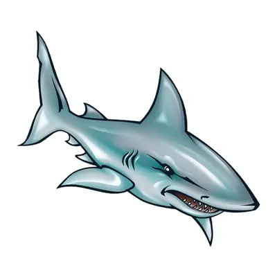Tubarão ilustrado