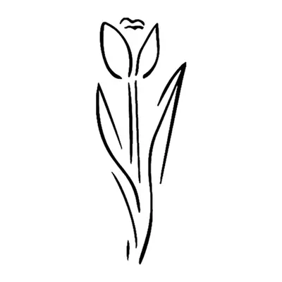 Tulipa em linha