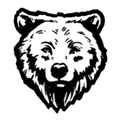 Urso — rosto