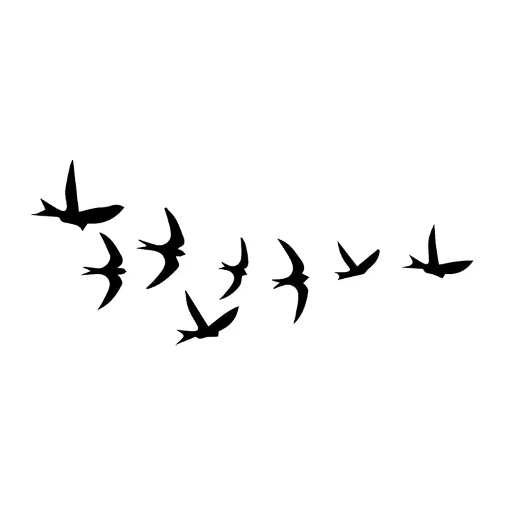 Tatuagem temporária Pássaros — Bando de aves pequenas. Inclui pássaros