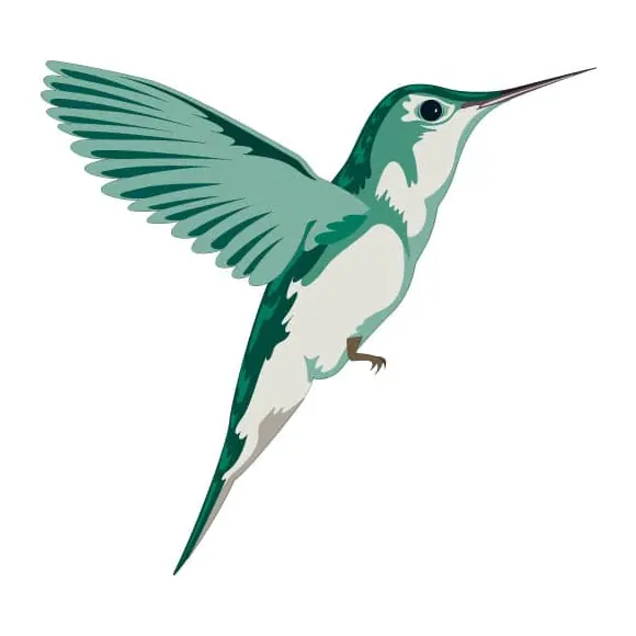 Tatuagem temporária Pássaros — Beija-flor verde. Inclui beija-flor