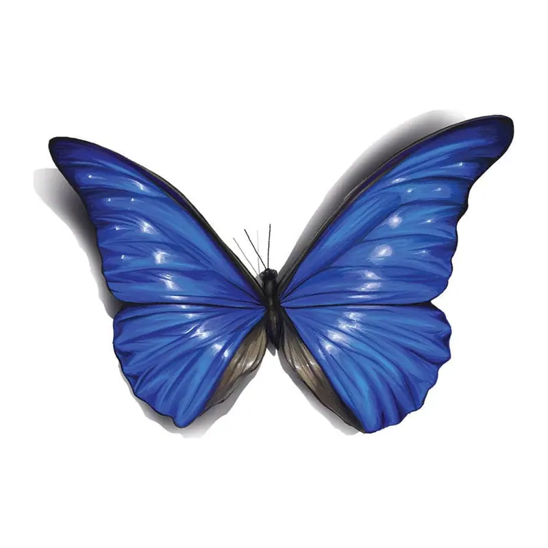 Tatuagem temporária Borboletas e Insetos — Borboleta azul 3D — Modelo 2. Inclui borboleta