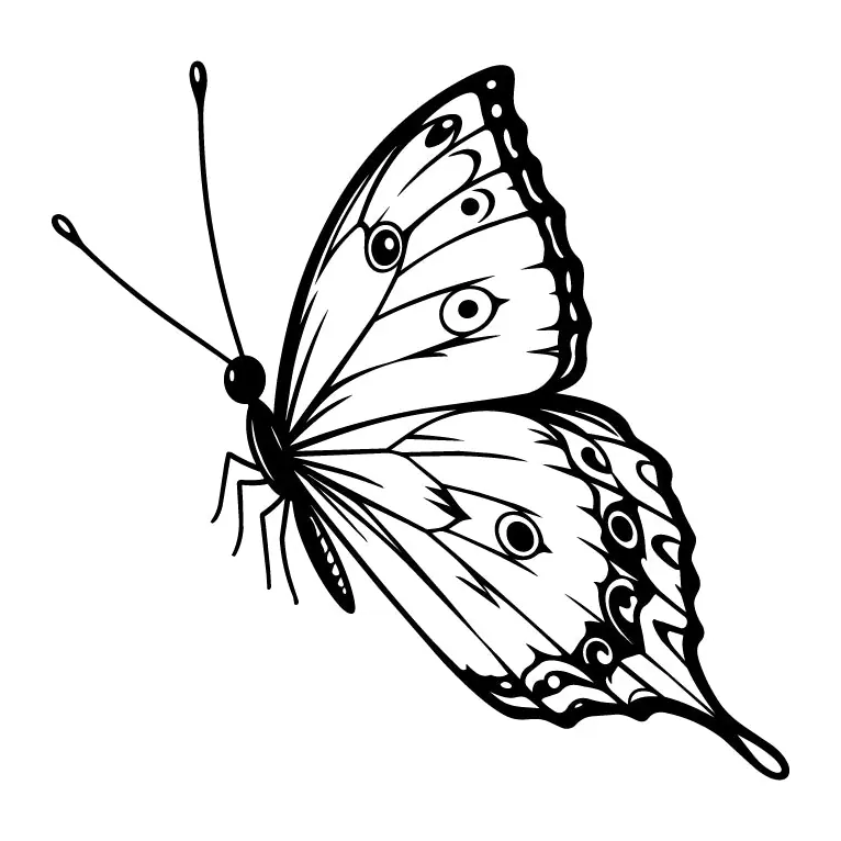 Tatuagem temporária Borboletas e Insetos — Borboleta de asas manchadas. Inclui borboleta