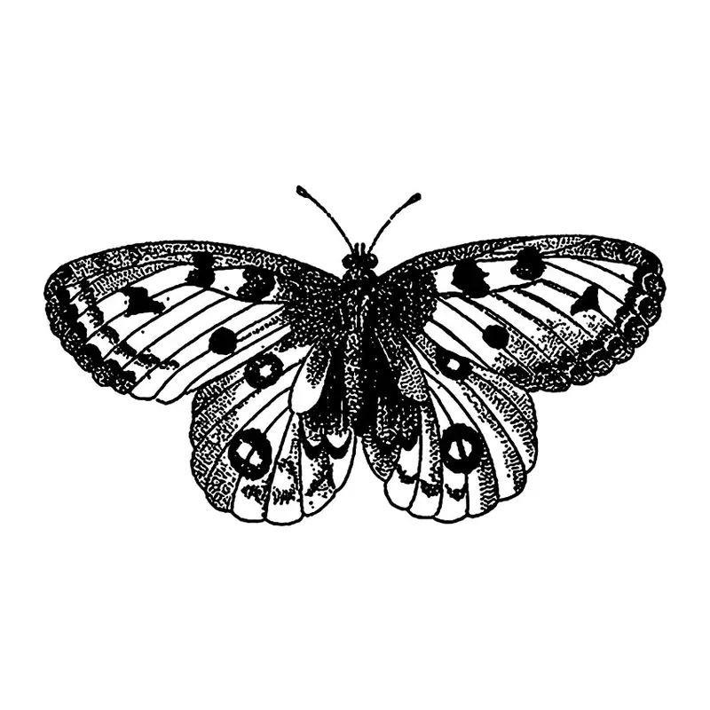 Tatuagem temporária Borboletas e Insetos — Borboleta realista de asas abertas. Inclui borboleta