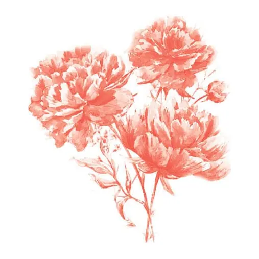 Tatuagem temporária Flores — Buquê de cravos coral. Inclui cravos