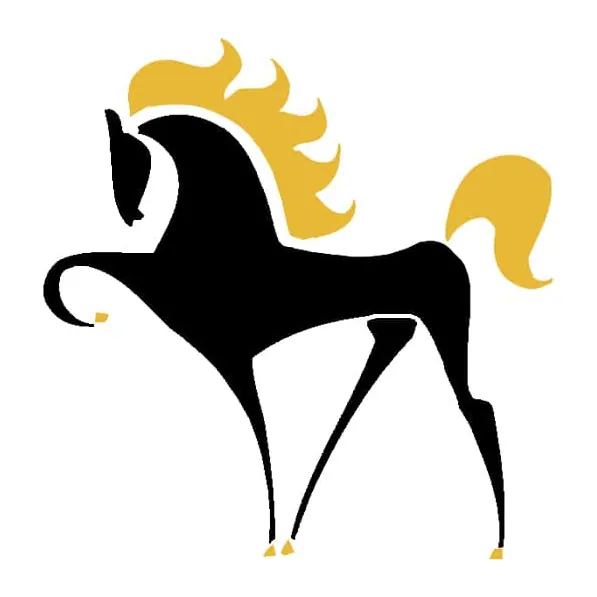 Tatuagem temporária Animais Selvagens — Cavalo preto de crina dourada. Inclui cavalo