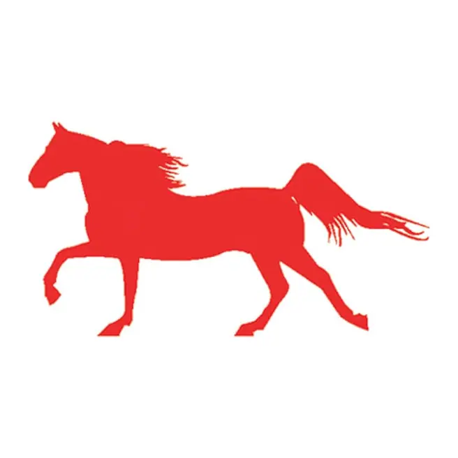 Tatuagem temporária Animais Selvagens — Cavalo vermelho galopando. Inclui cavalo