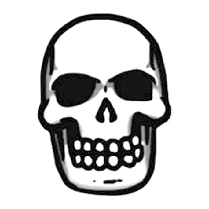 Tatuagem temporária Caveiras e Sombrio — Caveira desenhada. Inclui caveira