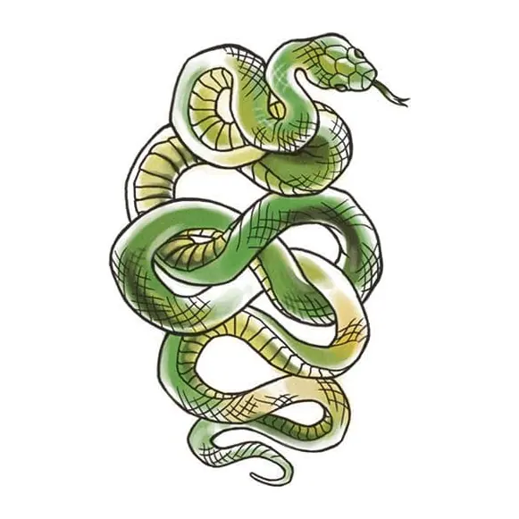 Tatuagem temporária Cobras e Répteis — Cobra verde enrolada grande. Inclui cobra