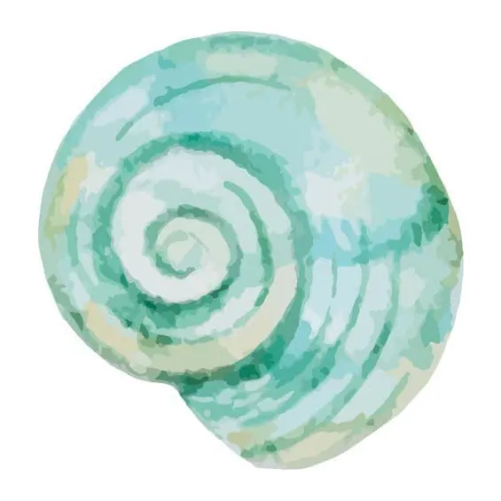 Tatuagem temporária Mar e Animais Marinhos — Concha em aquarela. Inclui concha