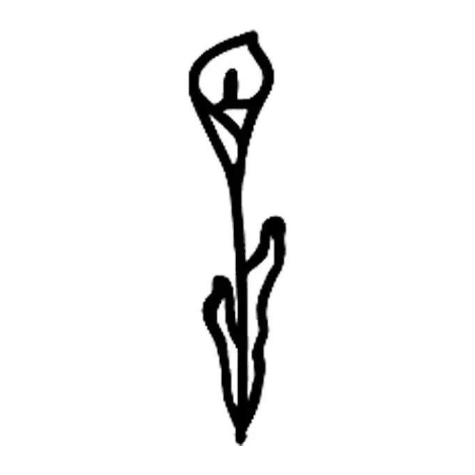 Tatuagem temporária Flores — Copo-de-leite. Inclui copo-de-leite