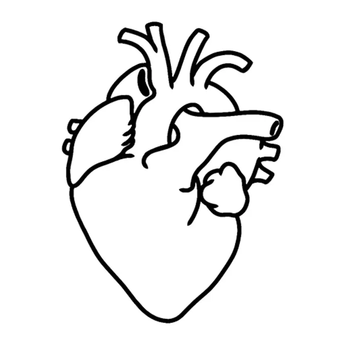 Tatuagem temporária Corações e Amor — Coração anatômico em linha. Inclui coração