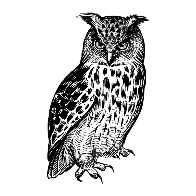 Tatuagem temporária Pássaros — Coruja realista. Inclui coruja