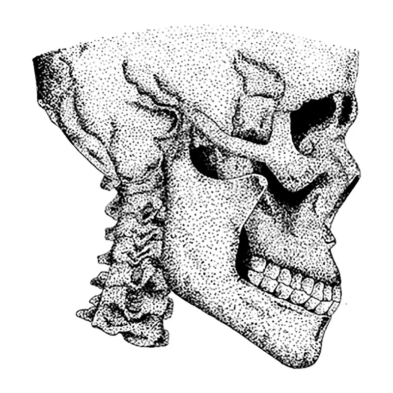 Tatuagem temporária Caveiras e Sombrio — Crânio pontilhado de perfil. Inclui crânio
