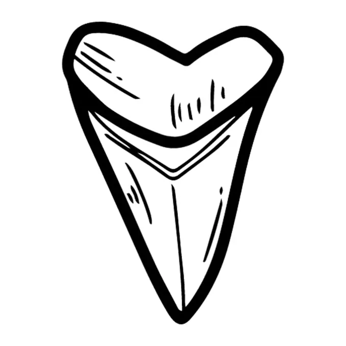 Tatuagem temporária Mar e Animais Marinhos — Dente de tubarão. Inclui dente