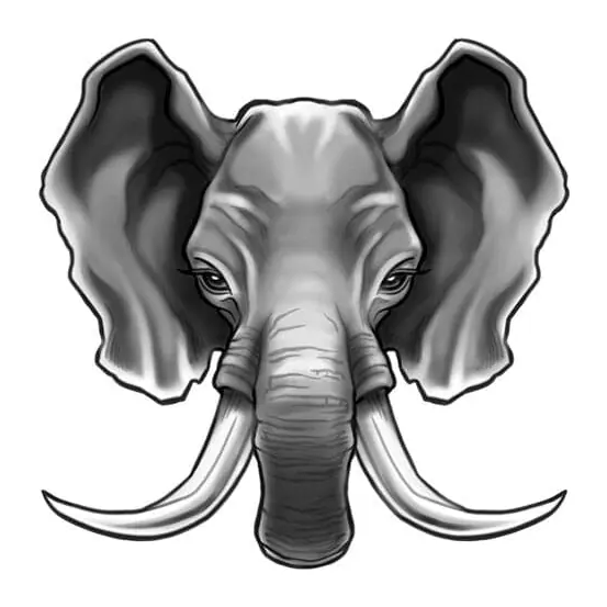 Tatuagem temporária Animais Selvagens — Elefante de presas grandes. Inclui elefante