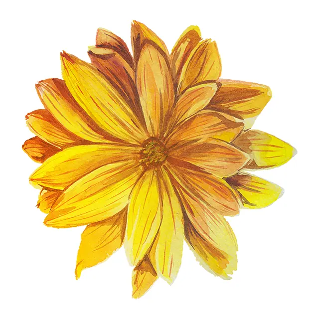 Tatuagem temporária Flores — Flor amarela grande. Inclui flor