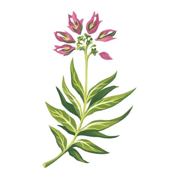 Tatuagem temporária Flores — Flor rosa em haste. Inclui flor