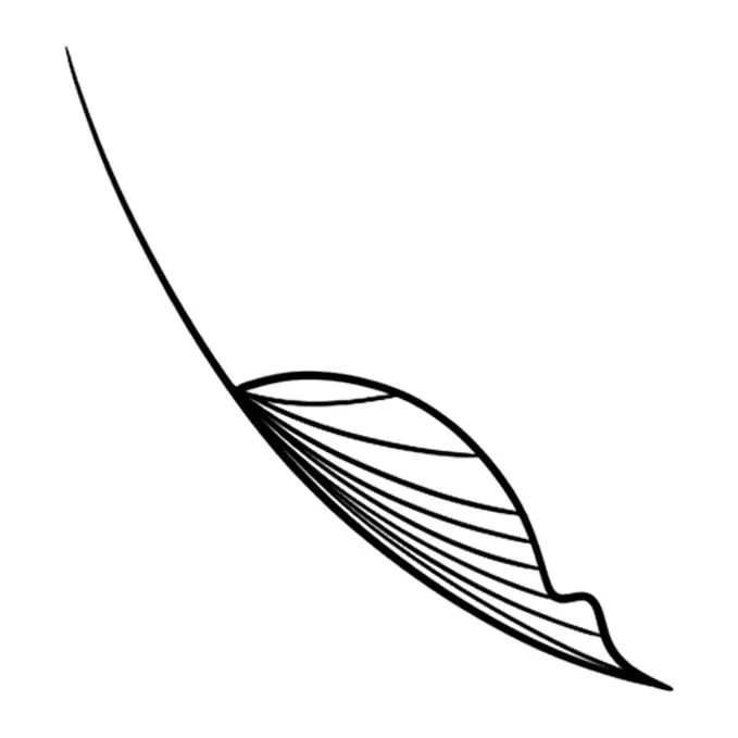 Tatuagem temporária Folhas e Plantas — Folha curva. Inclui folha