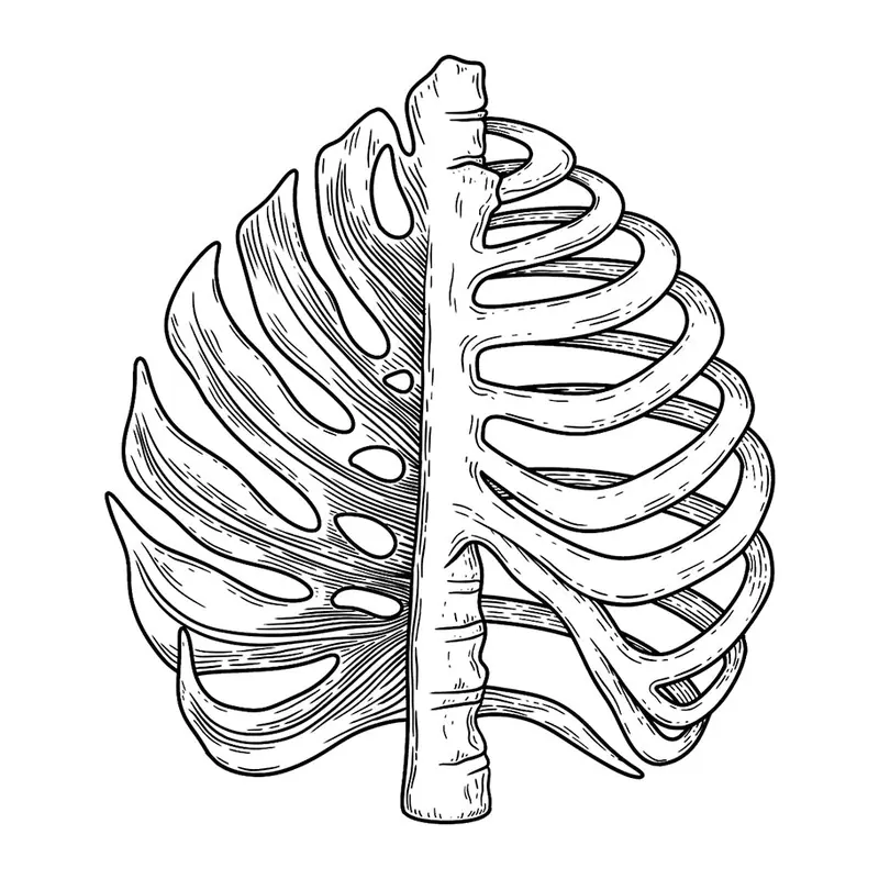Tatuagem temporária Folhas e Plantas — Folha de monstera com costelas. Inclui monstera, costelas