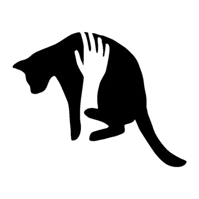 Tatuagem temporária Gatos — Gato com mão. Inclui gato, mão