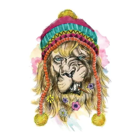 Tatuagem temporária Animais Selvagens — Leão com gorro colorido. Inclui leão, gorro