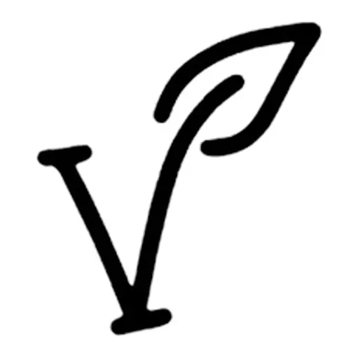 Tatuagem temporária Letras e Frases — Letra V com folha. Inclui letra, folha