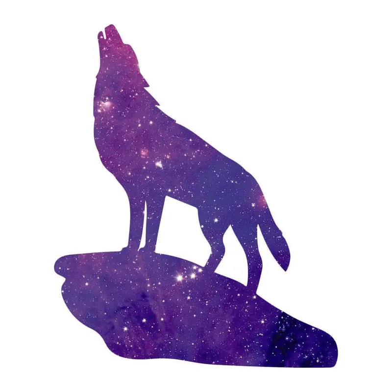 Tatuagem temporária Animais Selvagens — Lobo uivando galáxia. Inclui lobo