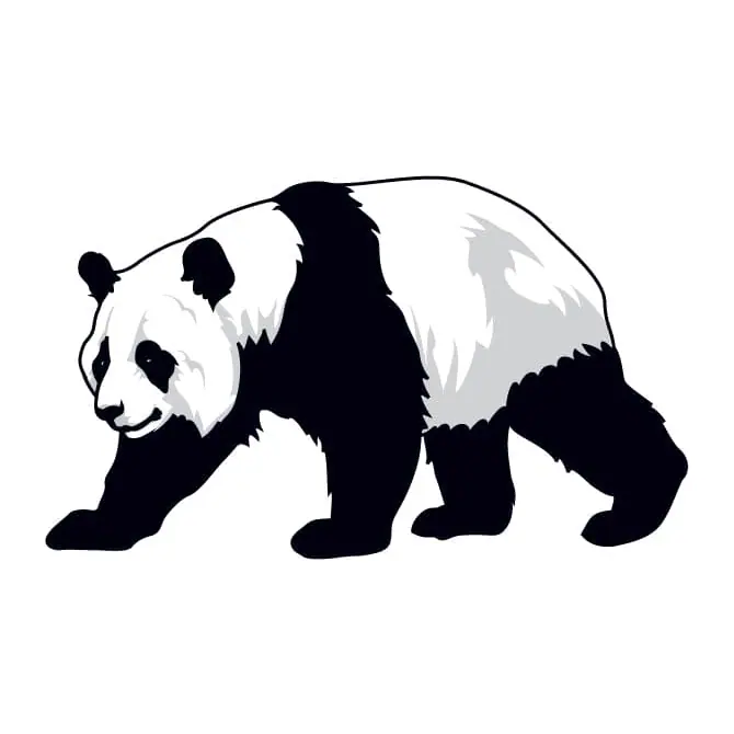 Tatuagem temporária Animais Selvagens — Panda — Modelo 2. Inclui panda