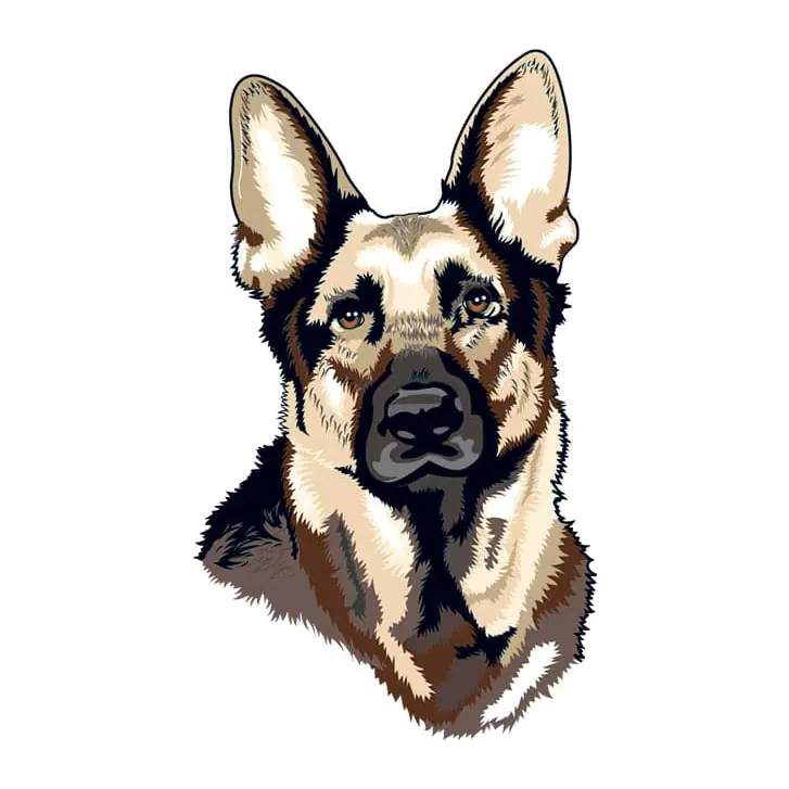 Tatuagem temporária Cachorros — Pastor-alemão. Inclui pastor-alemão