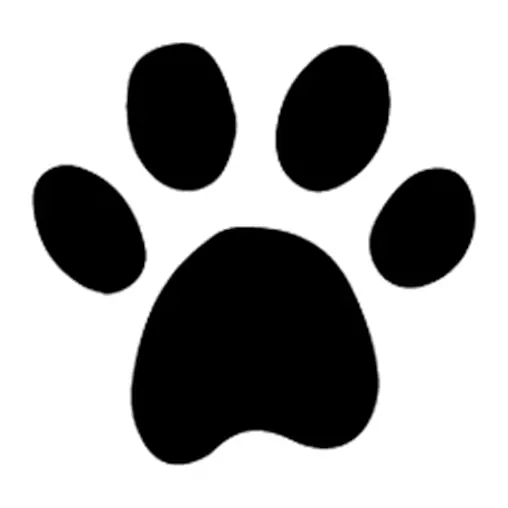 Tatuagem temporária Bichinhos Fofos — Pata de animal. Inclui pata
