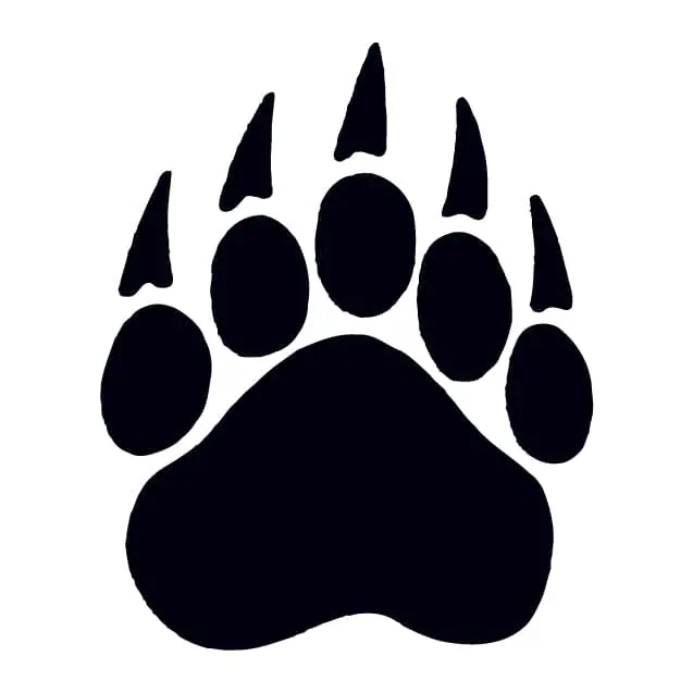 Tatuagem temporária Bichinhos Fofos — Pata de urso preta. Inclui pata