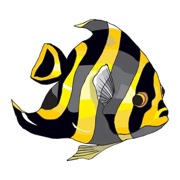 Tatuagem temporária Mar e Animais Marinhos — Peixe listrado amarelo e preto. Inclui peixe