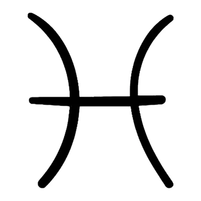 Tatuagem temporária Signos e Astrologia — Peixes. Inclui peixes