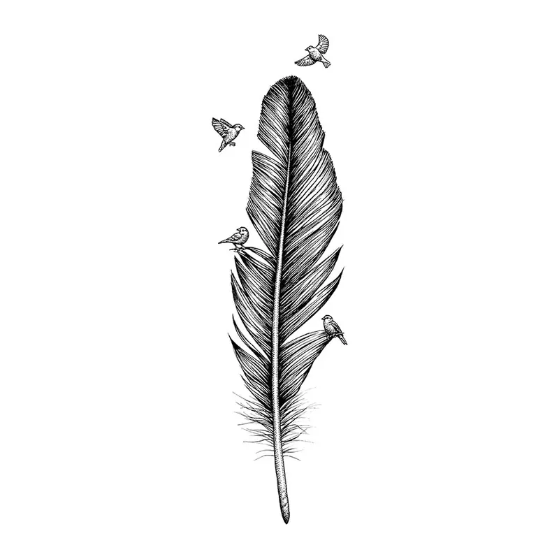 Tatuagem temporária Pássaros — Pena com passarinhos. Inclui pena, passarinhos