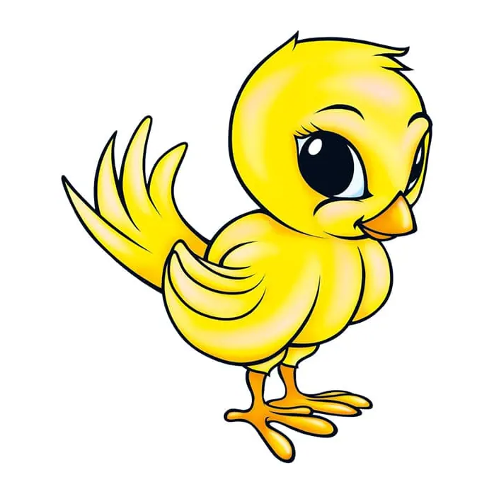 Tatuagem temporária Pássaros — Pintinho amarelo. Inclui pintinho