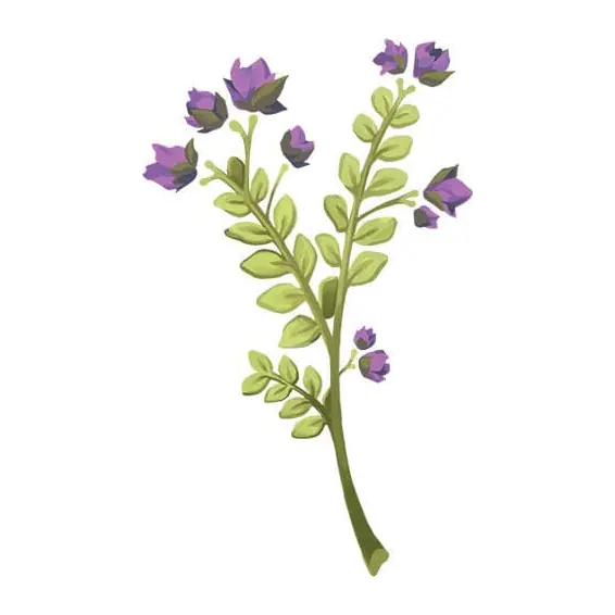 Tatuagem temporária Flores — Ramo de flores roxas. Inclui flores