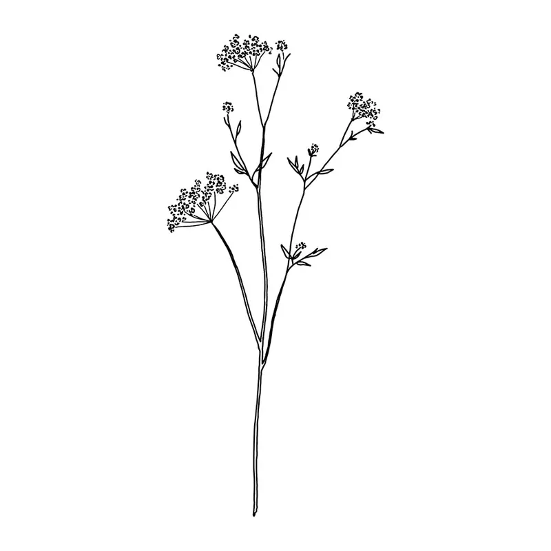 Tatuagem temporária Flores — Ramo de flores silvestres finíssimo. Inclui flores