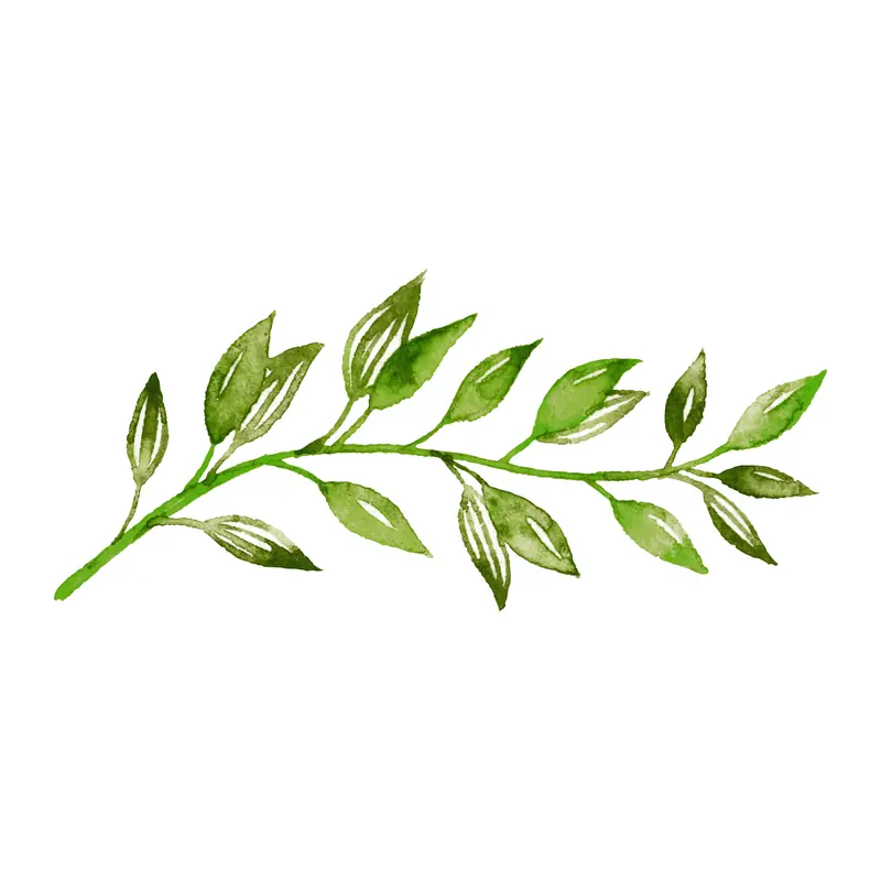 Tatuagem temporária Folhas e Plantas — Ramo de folhas em aquarela. Inclui folhas