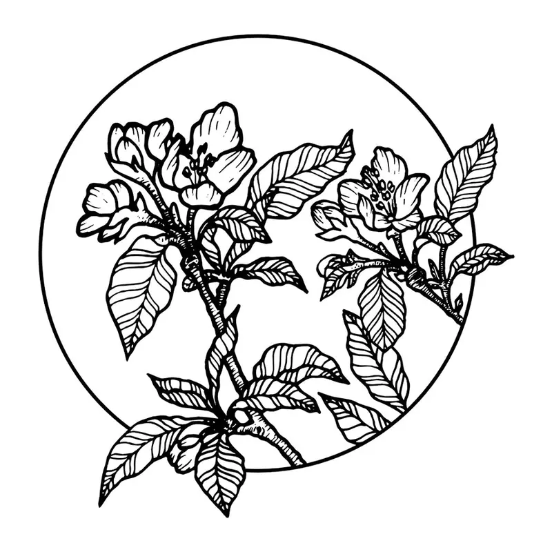 Tatuagem temporária Flores — Ramo florido em círculo. Inclui flores