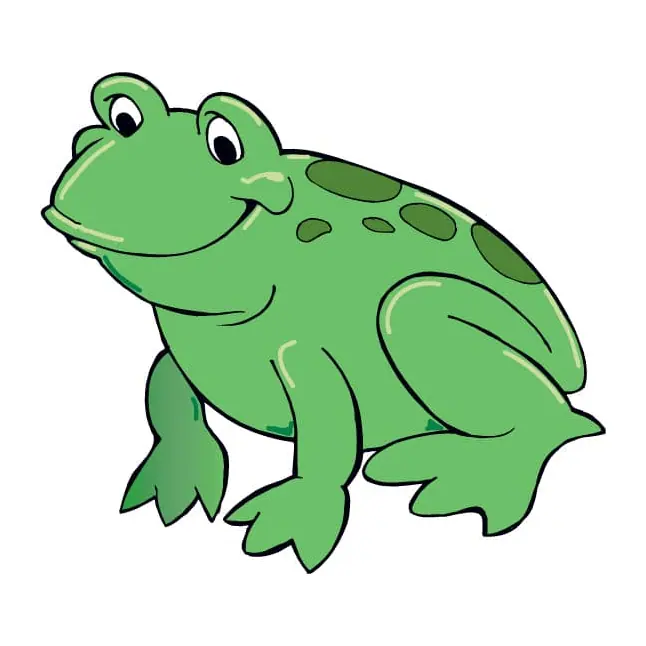 Tatuagem temporária Bichinhos Fofos — Sapo verde. Inclui sapo