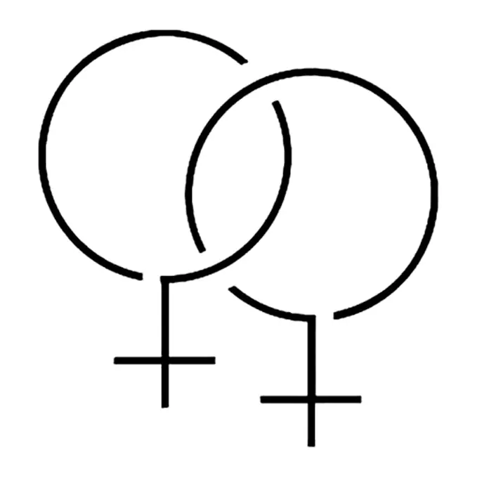 Tatuagem temporária Símbolos — Símbolos femininos entrelaçados finos. Inclui símbolo
