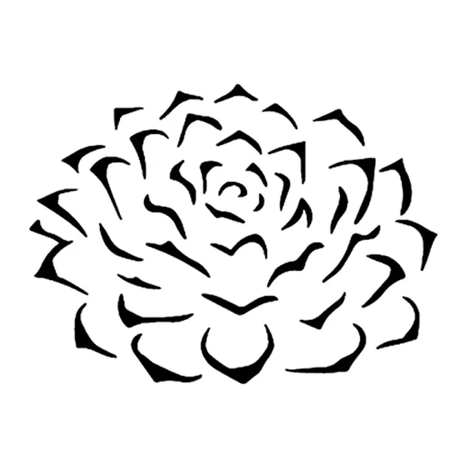 Tatuagem temporária Folhas e Plantas — Suculenta. Inclui suculenta